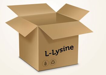 L-Lysine BOX - 10000 Comprimés et plus