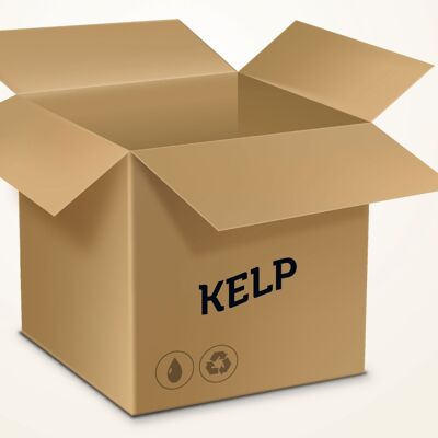 Kelp 500mg BOX 10000 Tabletten und mehr