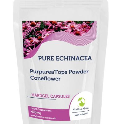 Echinacea 300mg Extrait Comprimés Echinacoside 1000 Comprimés Recharge Pack