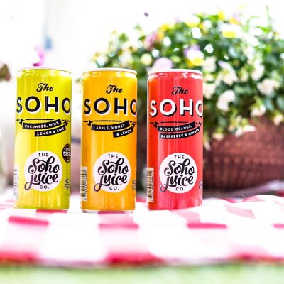 SOHO - Mixed Flavour Case