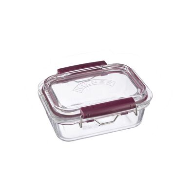 Food storage containers with swing top, 600 ml
