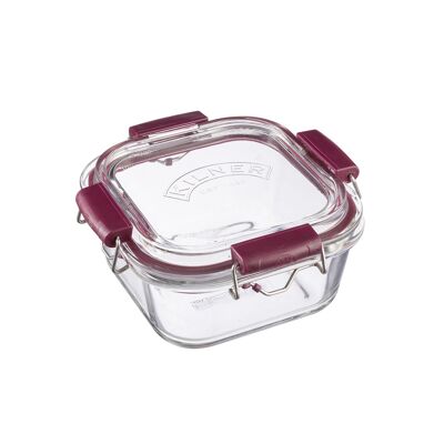 Food storage containers with swing top, 750 ml