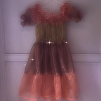 TERRA ~ Priscilla ~ Brown Organza Tiered Mini Dress