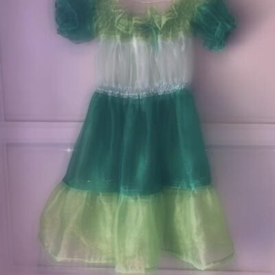 ENVY~ Priscilla ~ Green Organza Tiered Mini Dress