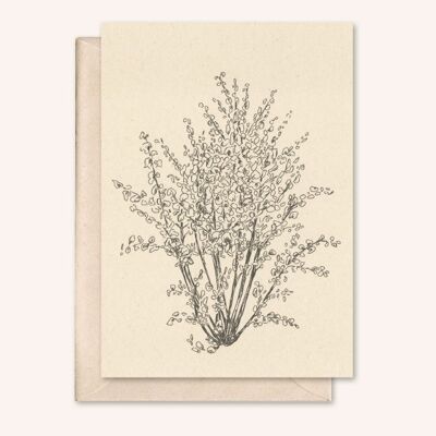 Sustainable card + envelope | Hazelnut tree | Walnut
