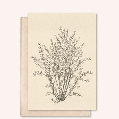 Sustainable card + envelope | Hazelnut tree | Walnut