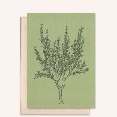 Sustainable card + envelope | almond tree | rosemary