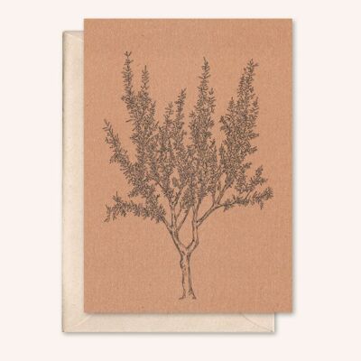 Sustainable card + envelope | almond tree | Peach