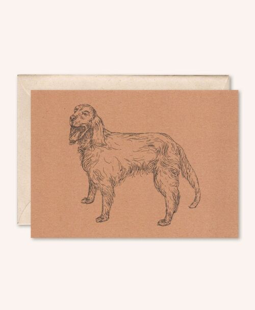 Duurzame kaart + envelop | Hond Zeus | Perzik