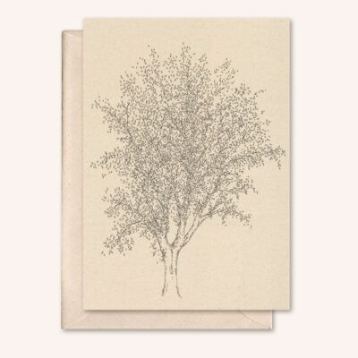 Sustainable card + envelope | Ash tree | elderflower