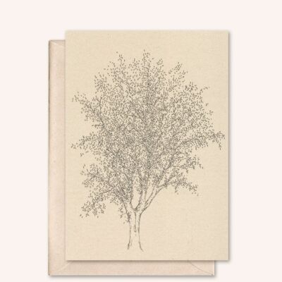Carte durable + enveloppe | Frêne | fleur de sureau