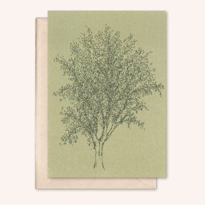 Sustainable card + envelope | Ash tree | Sage