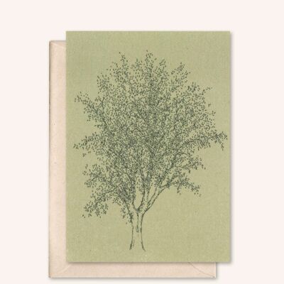 Sustainable card + envelope | Ash tree | Sage
