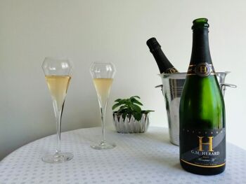 Champagne Monsieur H Brut 9