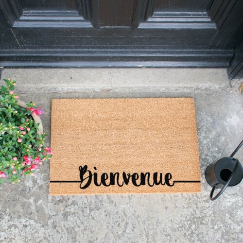 Bienvenue Doormat