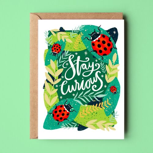Stay Curious Greetings Card