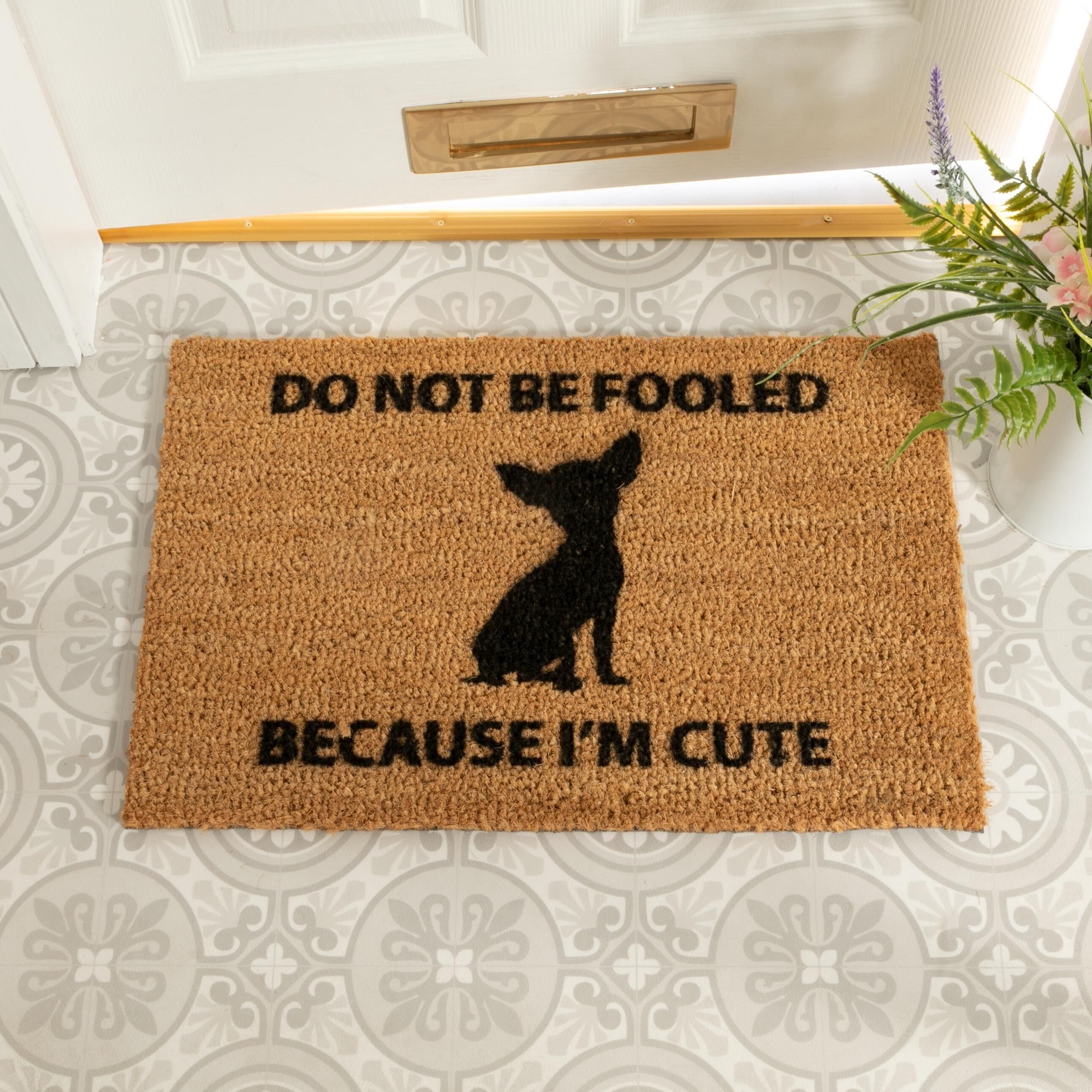 Chihuahua doormat