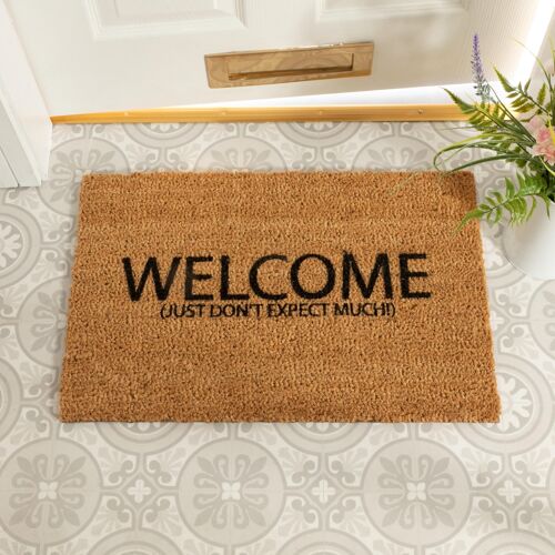 Welcome Don't Expect Much Doormat