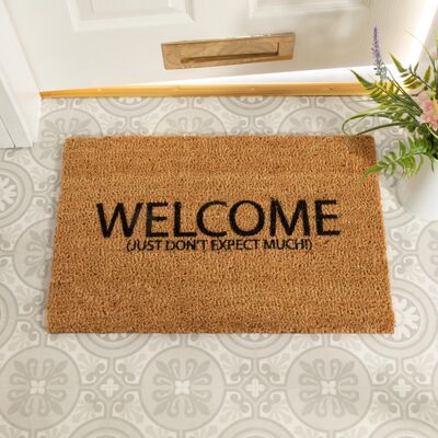 Welcome Don't Expect Much Doormat