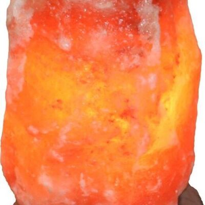 Roca de cristal de sal del Himalaya 4-6 kg houten voet
