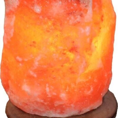 Himalaya Salt Crystal Rock 4-6kg houten voet