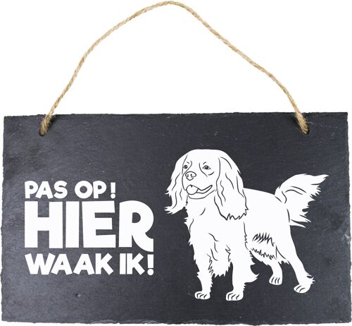 Leisteen Dieren - Cavalier King CS