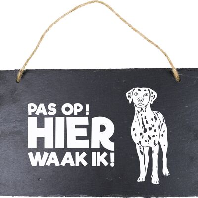 Leisteen Dieren - Dalmatier