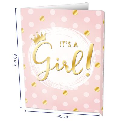 Window signs - It's a Girl!