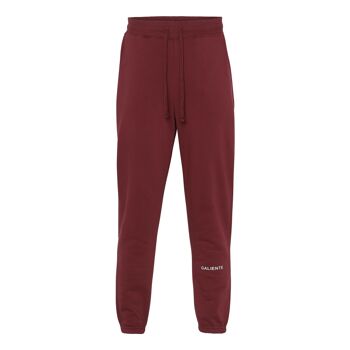 Pantalon de survêtement Noos essentiel bordeaux 2