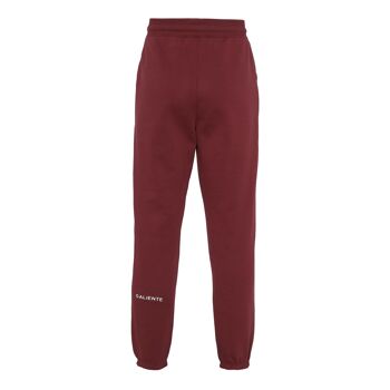 Pantalon de survêtement Noos essentiel bordeaux 10