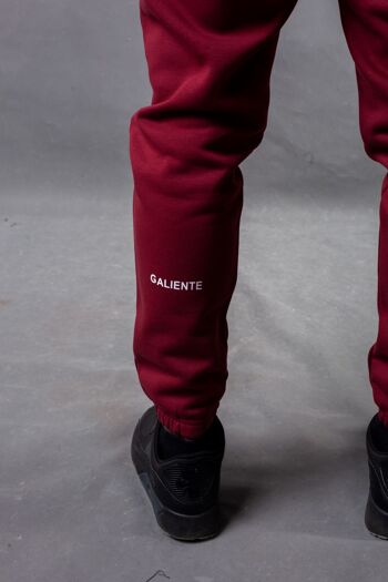 Pantalon de survêtement Noos essentiel bordeaux 18