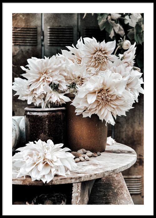 White flowers poster