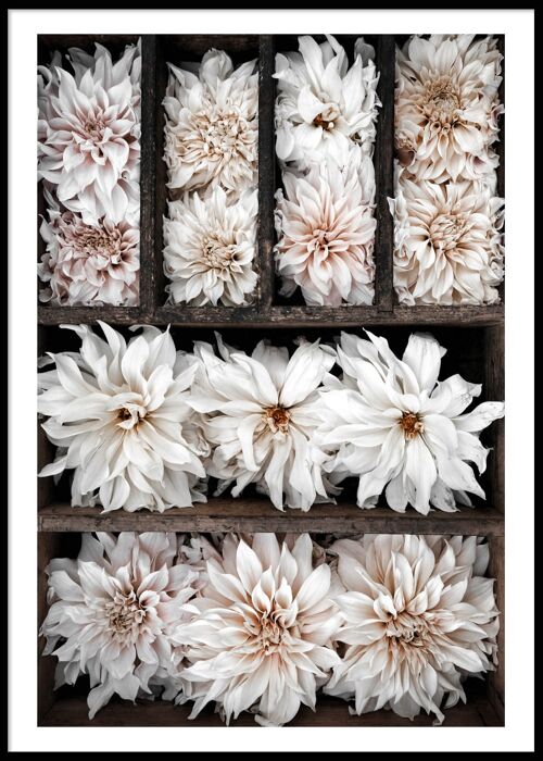 Flower box white poster