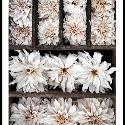 Affiche boîte à fleurs blanche