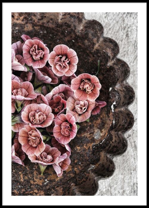 Pink flowers on a tray poster