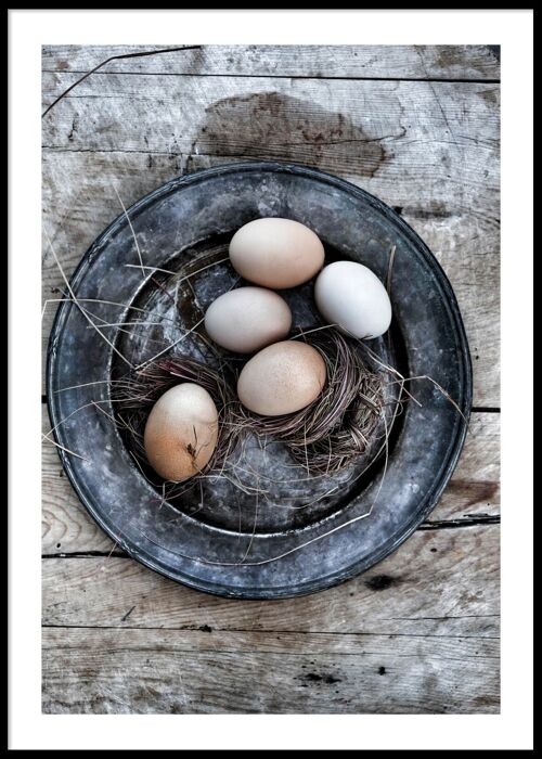 Eggs poster