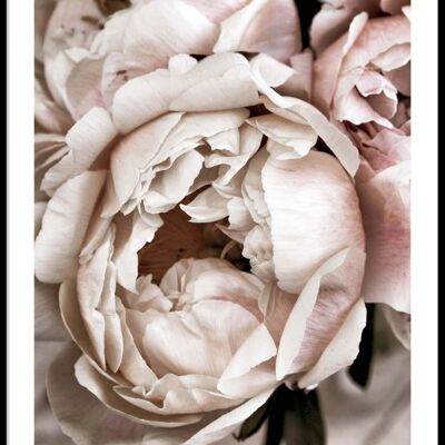 Poster mit weißen und rosa Blumen
