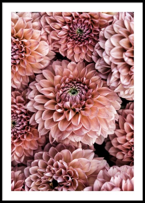 Beautiful flowers poster