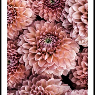 Beautiful flowers poster