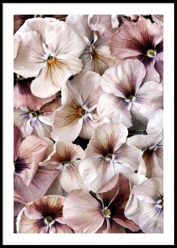 Affiche de fleurs