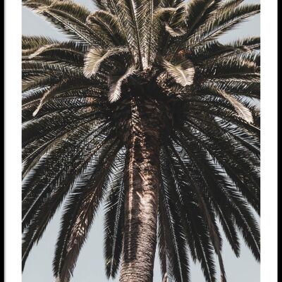 Barcelona palmtree poster
