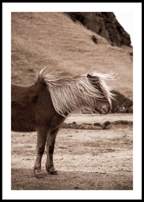 Iceland horse poster