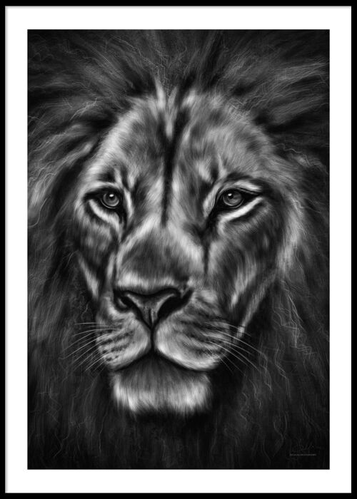 Lion black and white poster