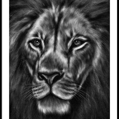 Lion black and white poster