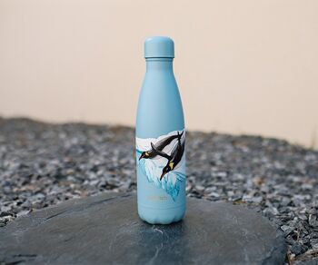 Bouteille thermos 500 ml, pingouins arctiques, bleu clair 2