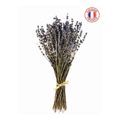 Bouquet von Lavendel 60gr