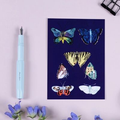 Papillons de carte postale