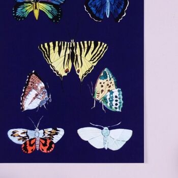 Papillons de carte postale 2