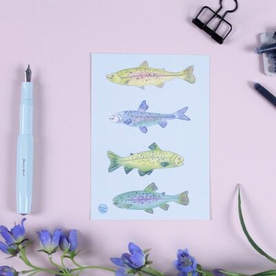 Postkarte Fische