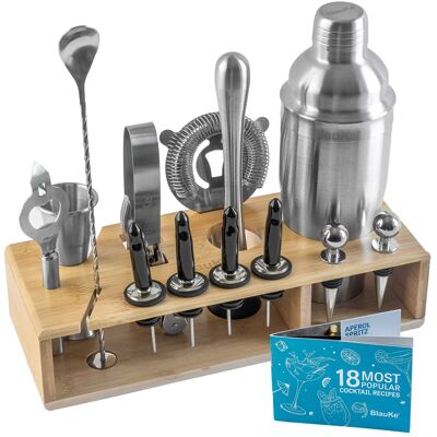 Cocktail Shaker Set with Stand – 17-Piece Mixology Bartender Kit Bar Set: 750ml Martini Shaker, Jigger, Strainer, Muddler, Mixing Spoon, Tongs – Stainless Steel Bar Accessories Tools for Drink Mixing